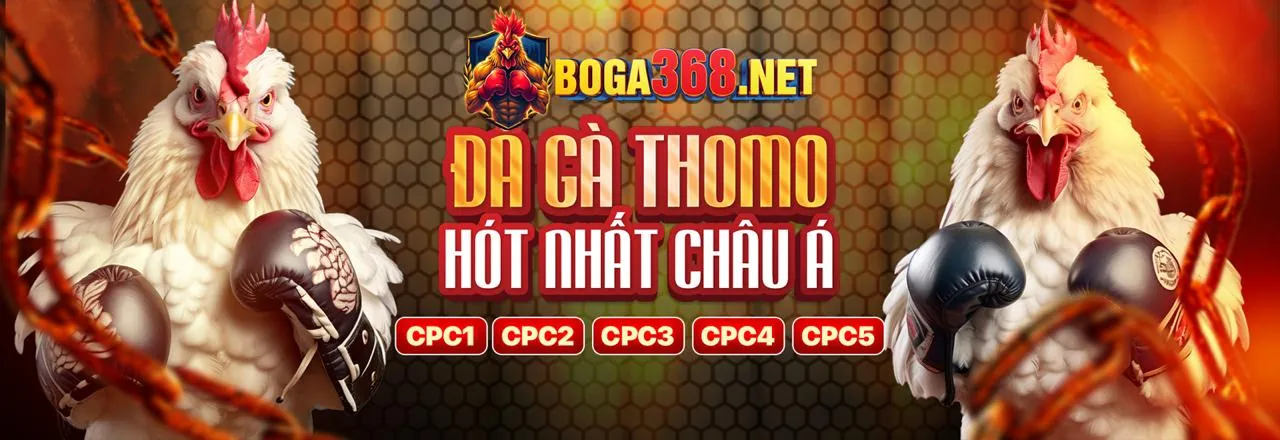 Bàn Tài Xỉu trực tuyến với dealer và xúc xắc