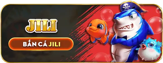 Trách nhiệm và miễn trừ trách nhiệm tại Live Casino